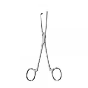 Pitangay Focep 15cm Straight