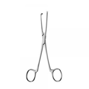 Pitangay Focep 26cm Straight